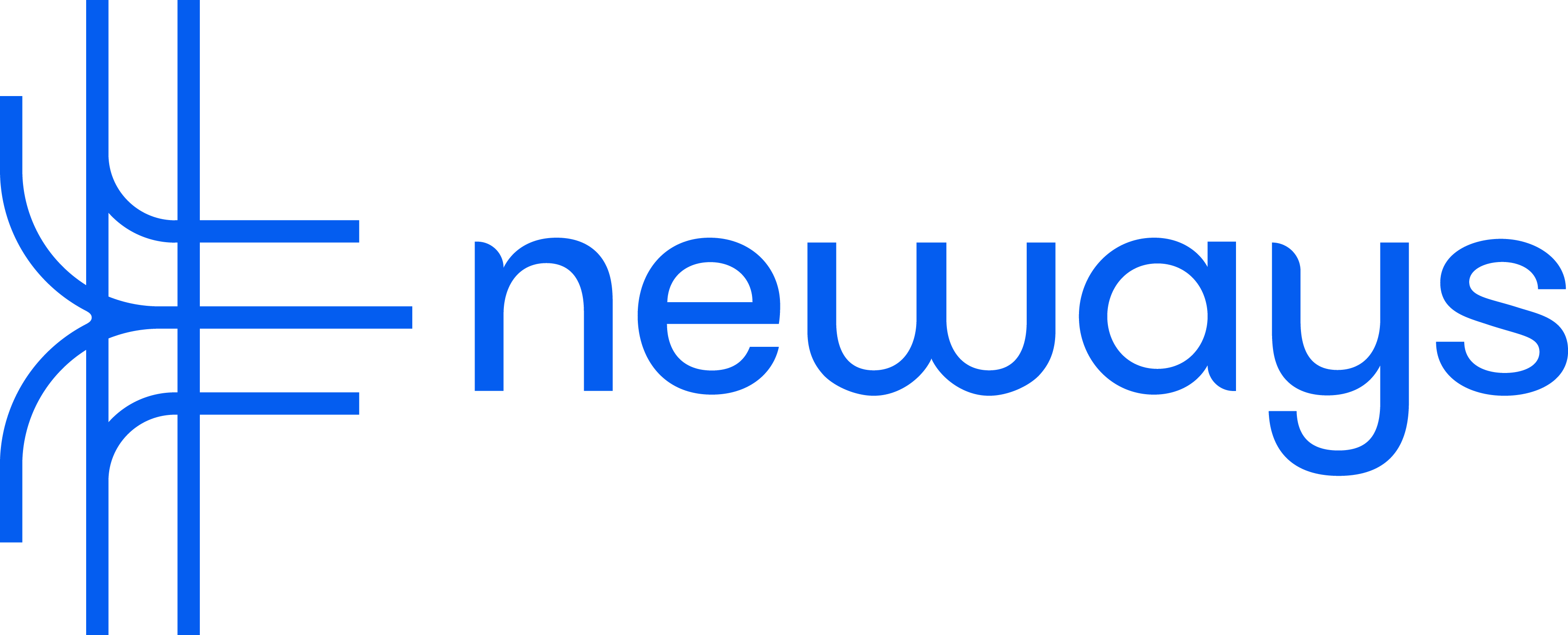 Neways Electronics Riesa GmbH 